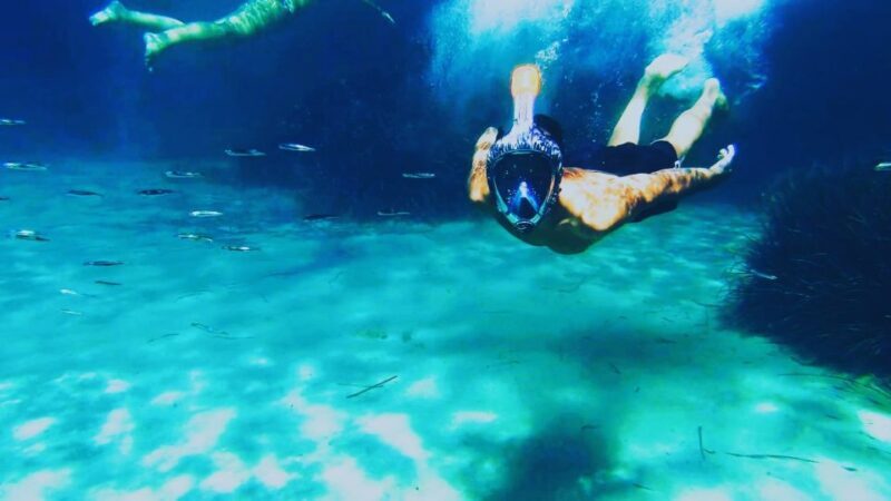 Golfo Aranci: Kayak Tour with Dolphins and Aperitif - FAQ