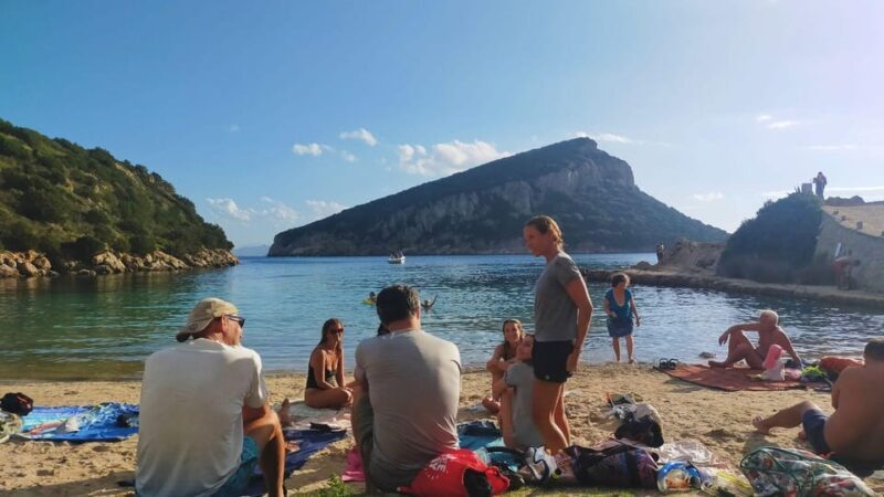 Golfo Aranci: RIB tour with Dolphin Watching - FAQ