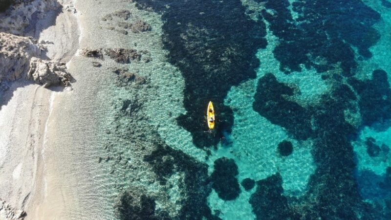 Golfo Aranci: Small group Kayak tour with Aperitif &dolphins - Exploring Golfo Aranci by Kayak: A Friendly Look at the Small-Group Adventure