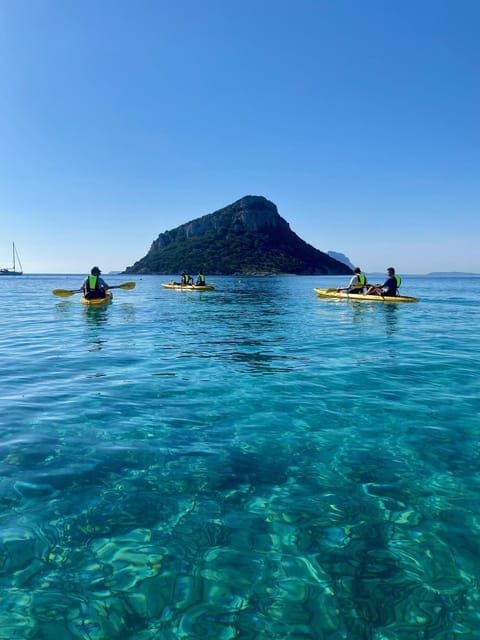 Golfo Aranci: Small group Kayak tour with Aperitif &dolphins - Key Points