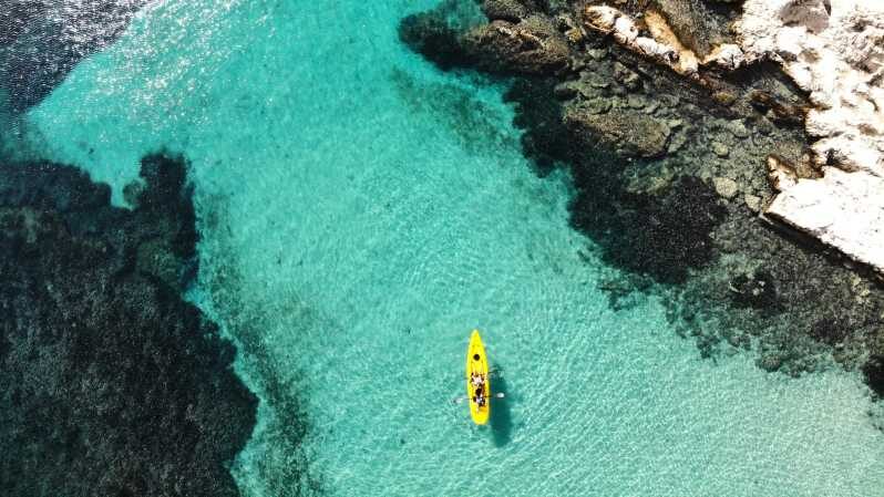 Golfo Aranci: Small group Kayak tour with Aperitif &dolphins - The Itinerary Breakdown: What You Can Expect