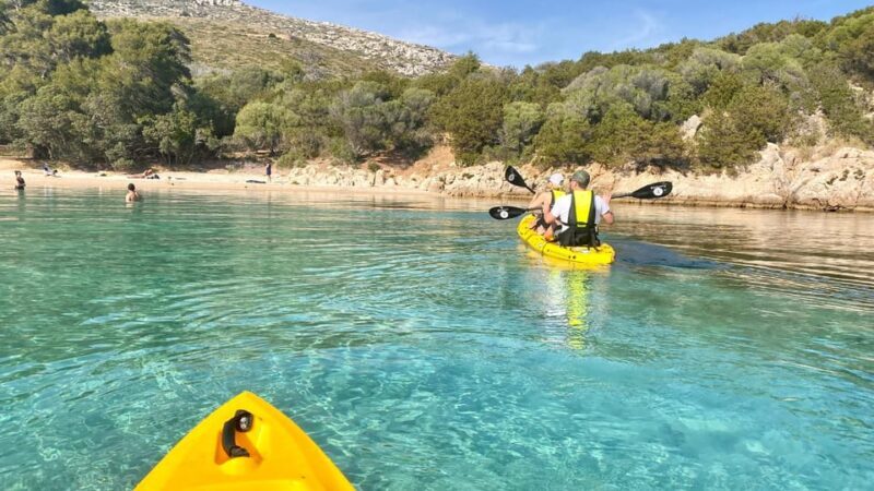 Golfo Aranci: Small group Kayak tour with Aperitif &dolphins - First Stop: Cala Moresca