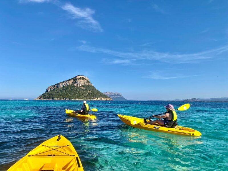 Golfo Aranci: Small group Kayak tour with Aperitif &dolphins - Dolphin Watching: Off to the Fish Farm