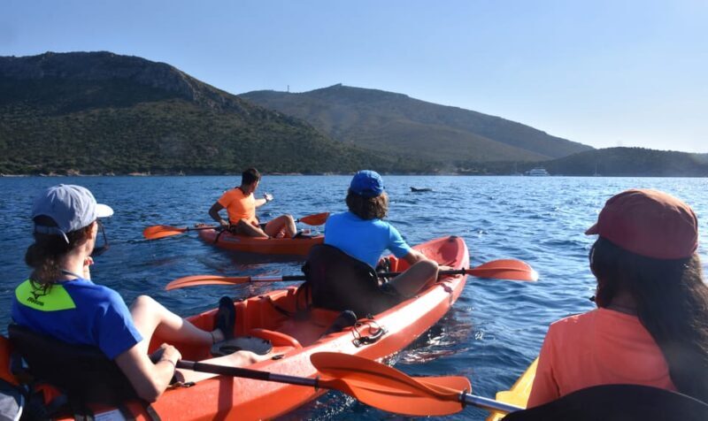 Golfo Aranci: Sunrise Dolphin Kayak Tour with Breakfast - Final Thoughts