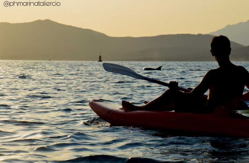 Golfo Aranci: Sunset Dolphin Kayak Tour with Aperitif - What the Tour Entails