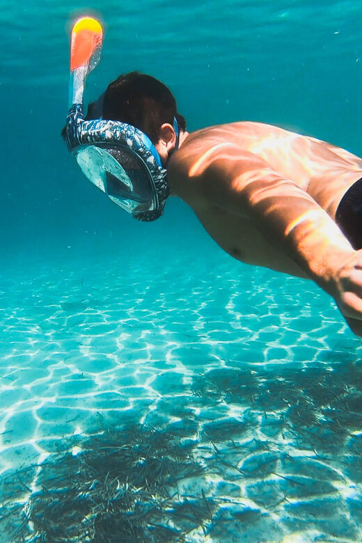 Golfo Aranci: Sunset Dolphin Kayak Tour with Aperitif - What Past Participants Say