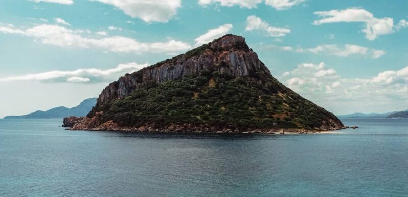 Golfo Aranci: Sunset Dolphin Kayak Tour with Aperitif - Final Thoughts