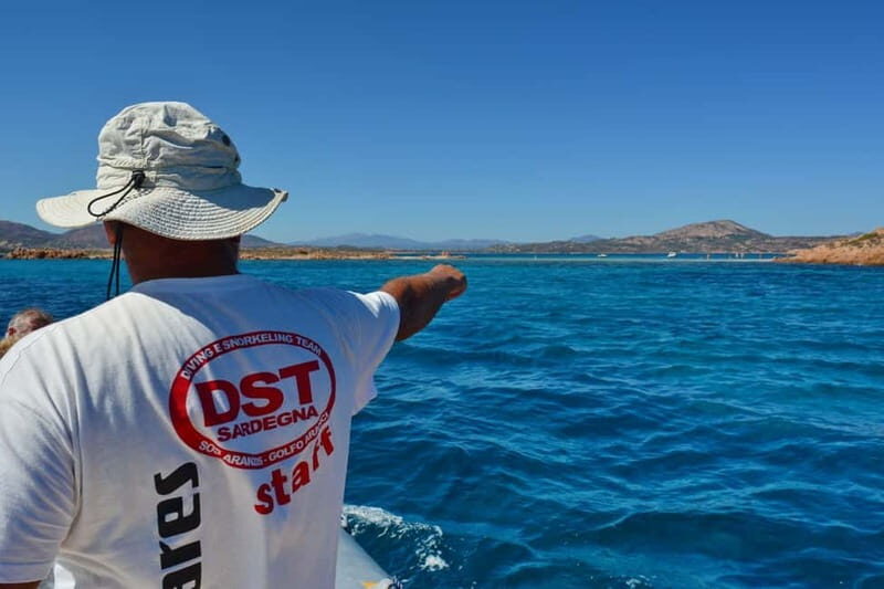 Golfo Aranci: Tavolara and Molara Snorkeling Dinghy Tour - A Closer Look at the Tour Experience