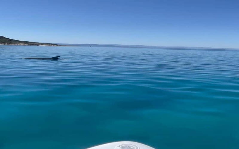 Golfo Aranci tour SUP Paddleboard Dolphin watching, aperitif - Final Thoughts