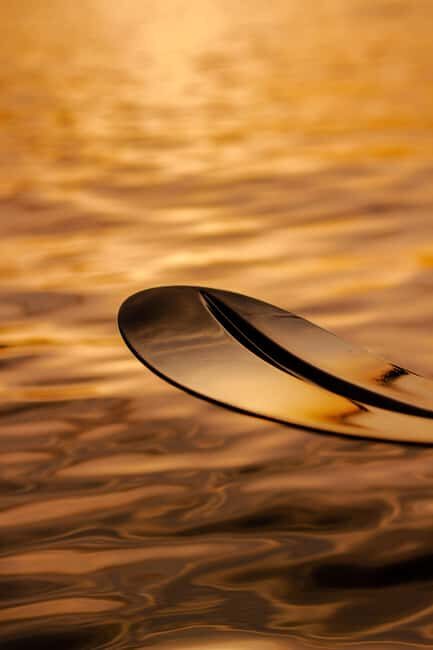 Golfo Aranci: traditional or transparent kayaks, dolphins, and aperitifs - Key Points