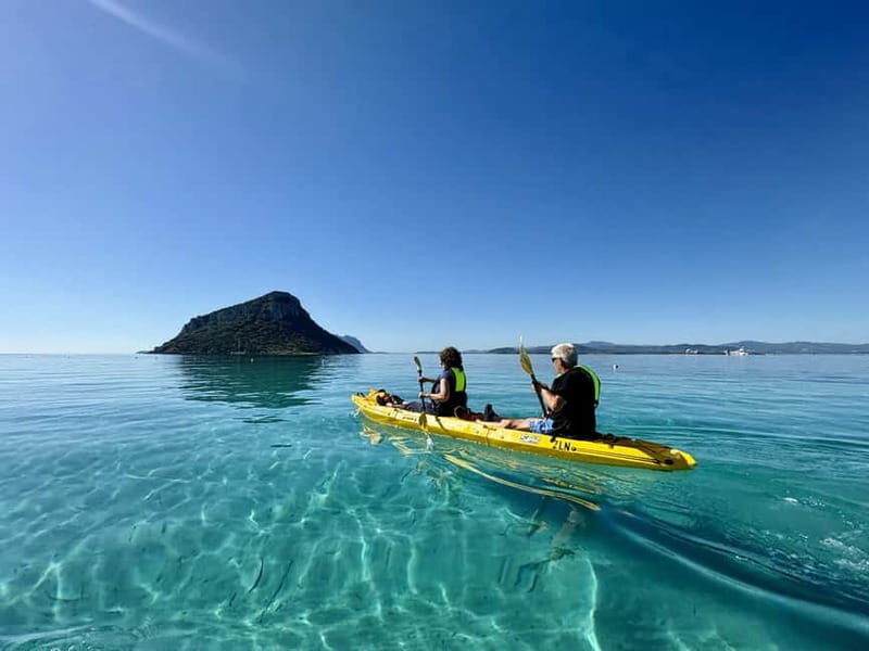 Golfo Aranci:Small group, german guided Kayak tour&Dolphins - Key Points