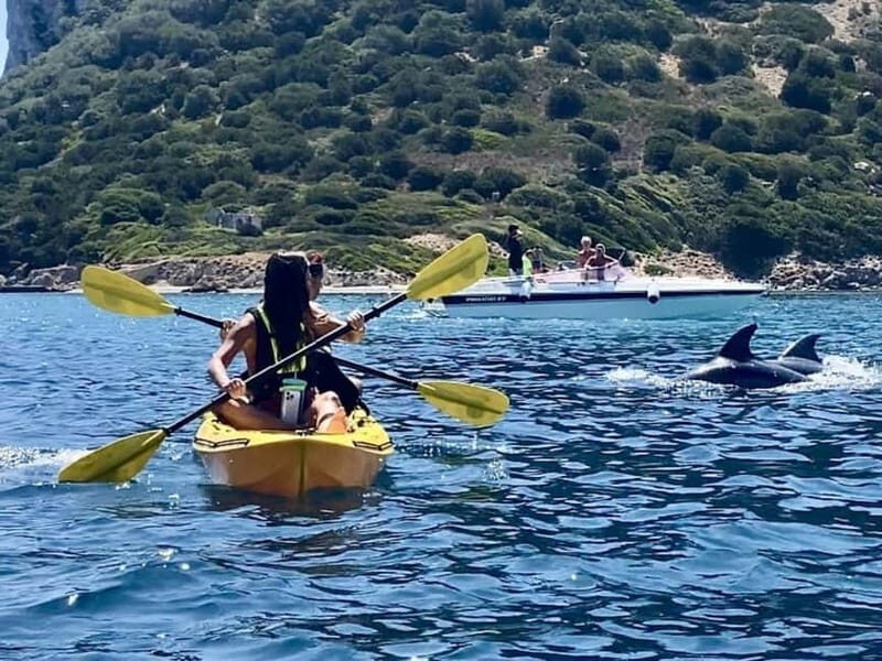 Golfo Aranci:Small group, german guided Kayak tour&Dolphins - Who Would Love This Tour?