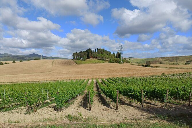 "Good Morning Chianti Classico" - Tour in 2 wineries with lunch - FAQ