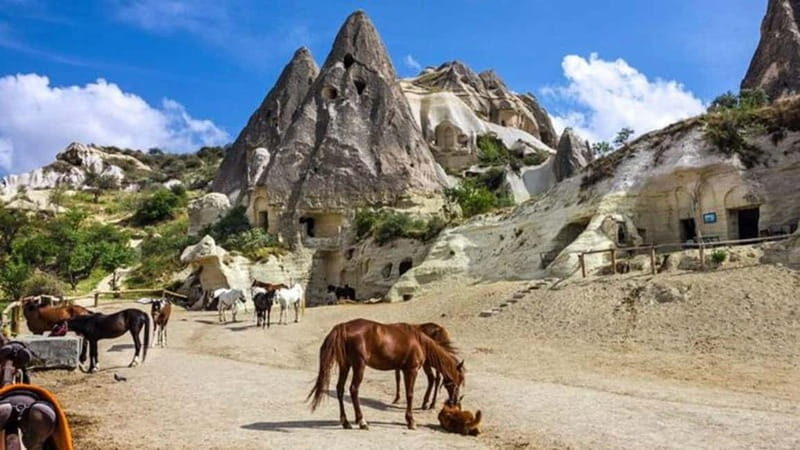 Göreme: Private Camel Tour, Pottery, Horse Ride w/Lunch - Key Points
