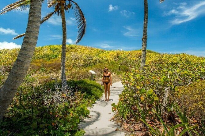 Gorgeous Contoy Adventure! Round Transportation from Cancun & Riviera Maya - Key Points