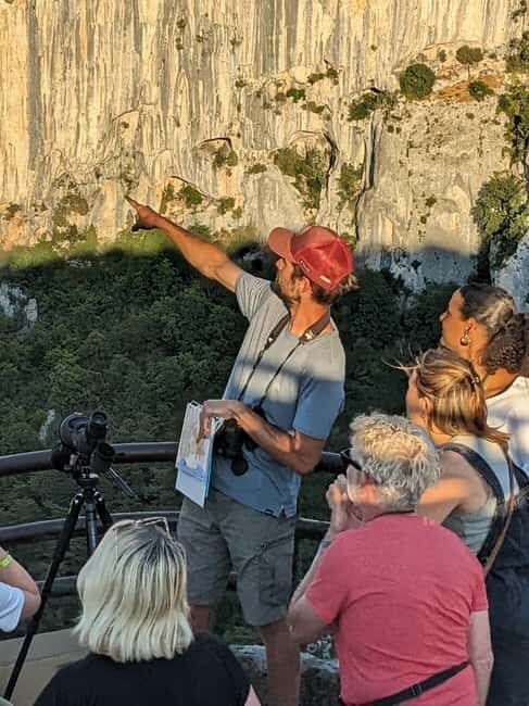 Gorges du Verdon: Watching vultures - Key Points
