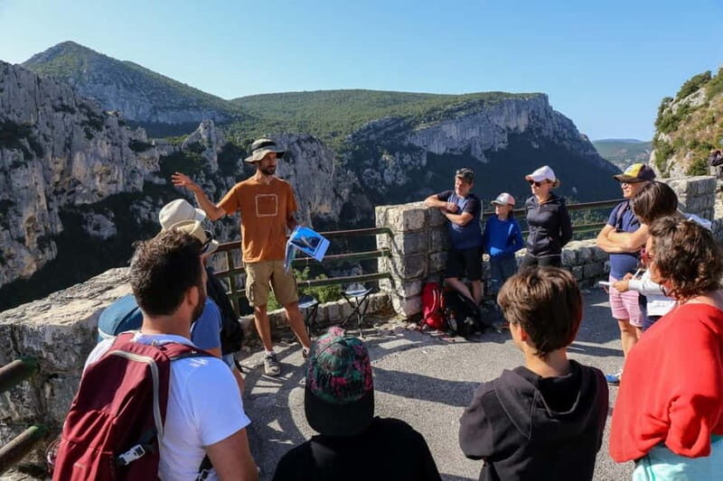 Gorges du Verdon: Watching vultures - The Experience in Detail