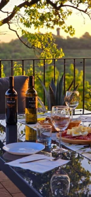 Gorika Brda: Wine Tasting with Local Snacks - Final Thoughts