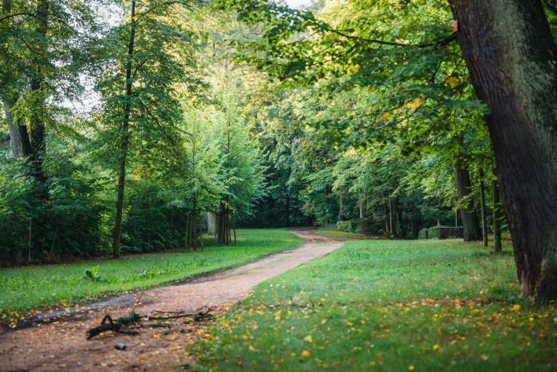 Görlitz: Görlitz-Zgorzelec Guided Walking Tour - Getting a Feel for the Experience
