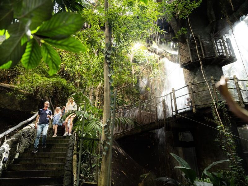 Gothenburg: Go City All-Inclusive Pass with 20+ Attractions - Overview of the Gothenburg All-Inclusive Pass