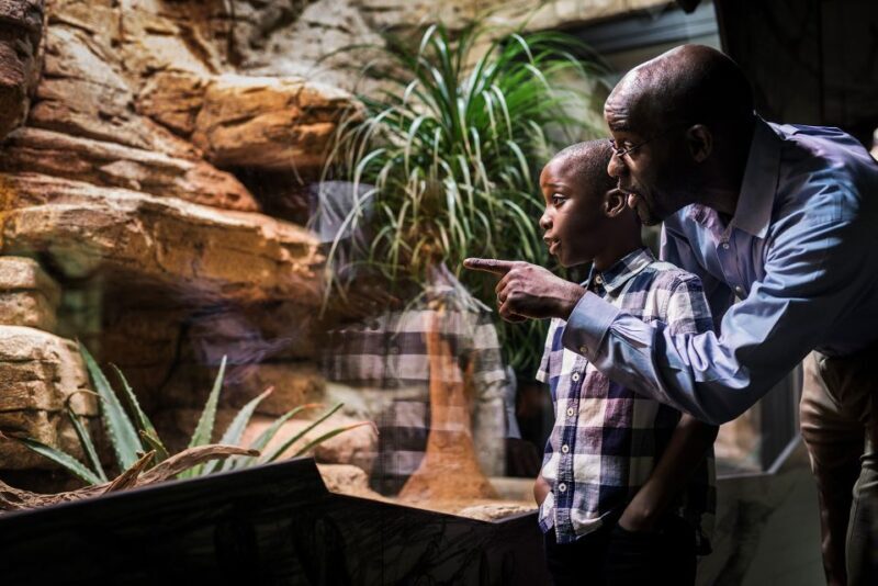 Gothenburg: Go City All-Inclusive Pass with 20+ Attractions - The Value for Money