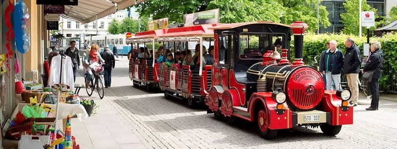 Gothenburg: Old Town Sightseeing Tour - The Itinerary: What to Expect