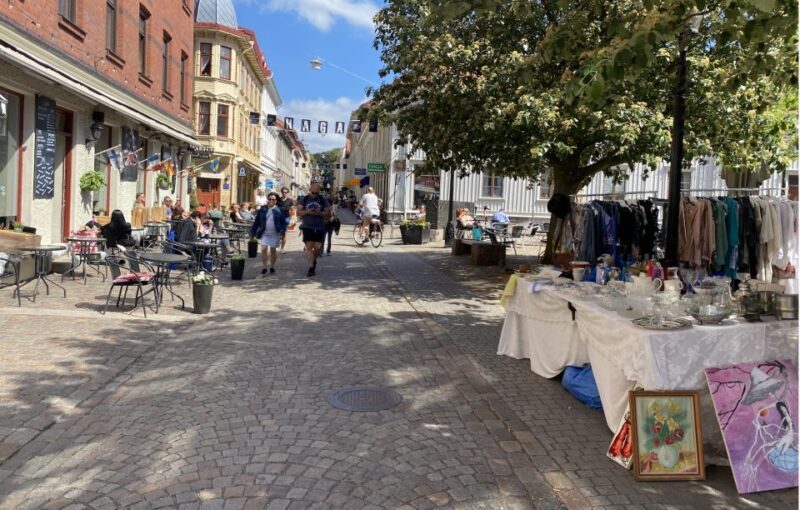 Gothenburg: Private Walking Tour with a Guide - Who Would Benefit Most?