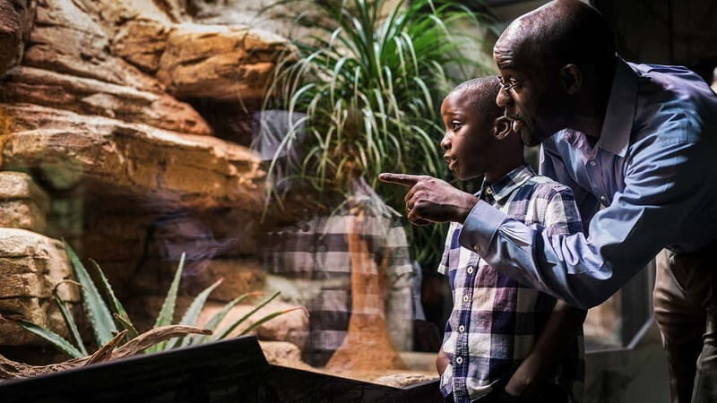 Gothenburg: Universeum Entry Ticket - Visiting Logistics and Value