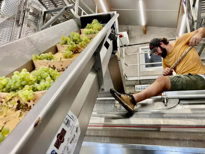 Gourmet Alsace: Cellar tour and snack tasting - An Honest Look at the Tour