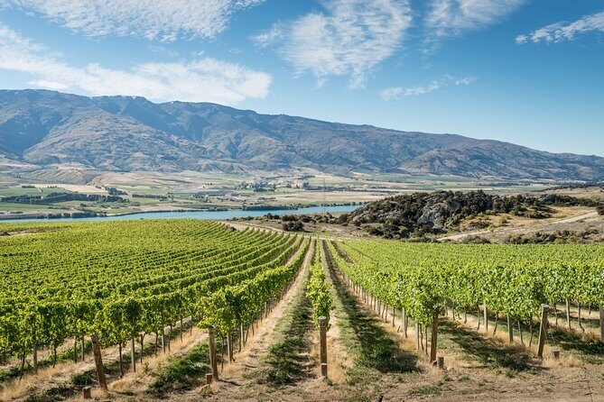 Gourmet Food and Wine Tour Queenstown All-Inclusive Tour - Key Points