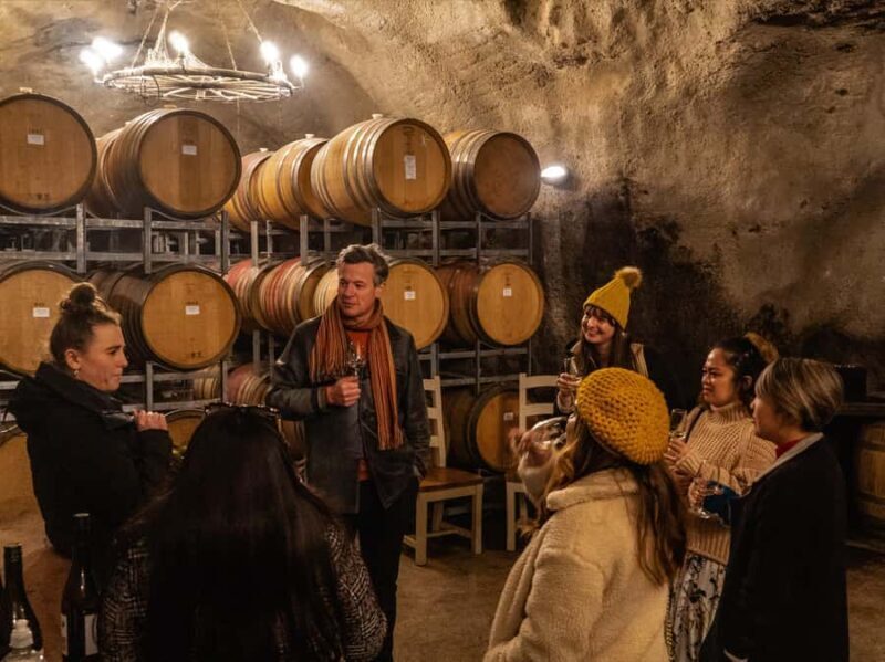 Gourmet Food and Wine Tour with Lunch and Wine Tastings - Who Will Love This Tour?