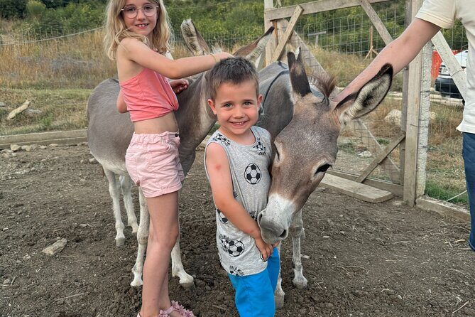 Gourmet Lunch Farm Tour with Cooking Class - Key Points
