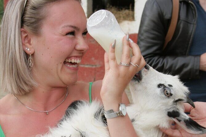 Gourmet Lunch Farm Tour with Cooking Class - What the Reviews Say