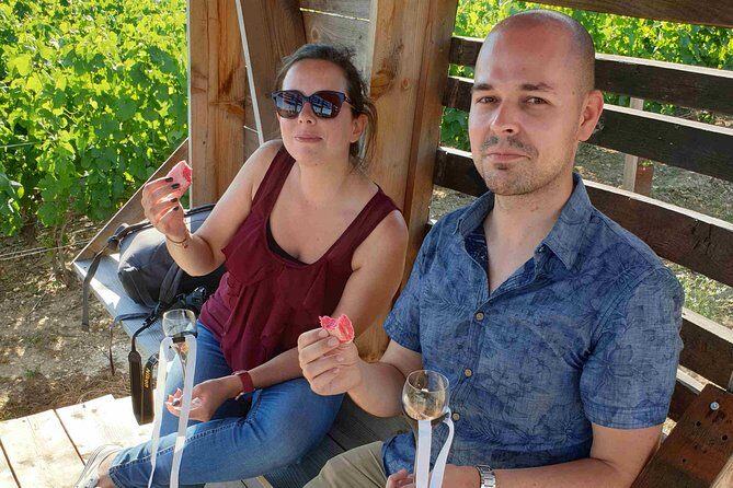 Gourmet walk in the heart of the vineyards with Champagne tasting near Epernay - Key Points