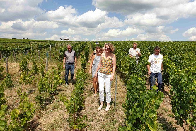 Gourmet walk in the heart of the vineyards with Champagne tasting near Epernay - The Itinerary Breakdown