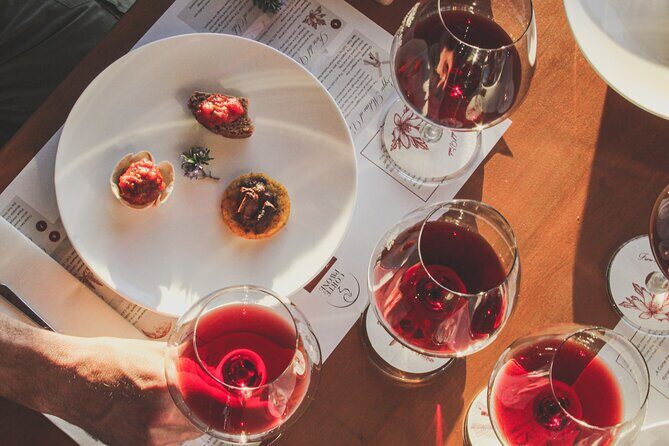 Gourmet Wine & Food Tasting - What to Expect from the Experience