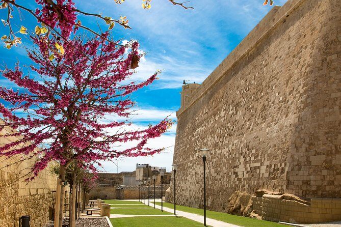 Gozo and Comino Islands: Blue Lagoon, Crystal Lagoon & caves - Final Thoughts: Is This Tour Right for You?