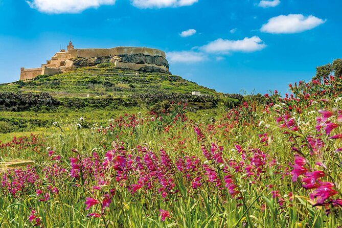 Gozo Full-Day Group Coach Tour including Lunch and Transfers - What’s on the Itinerary and Why It Matters