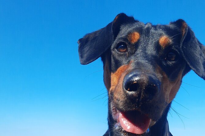 Gozo Unveiled - Hiking in Gozo - The Value of the Experience