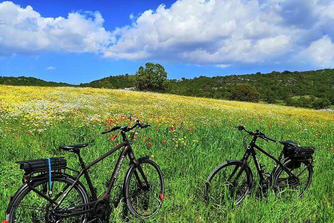 GPS self guide Alberobello and Masseria + Mozzarella and Focaccia tastings by E-bike - What the Tour Entails: A Closer Look