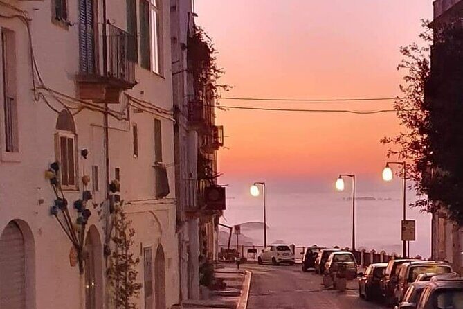 GPS Self guide Locorotondo+Alberobello + tasting in the vineyard - What to Expect from the Tour