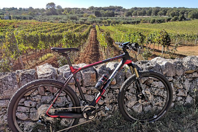 GPS Self guide Locorotondo+Alberobello + tasting in the vineyard - Concluding Thoughts