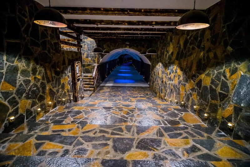 Graani: Winery Tour and Tasting at Winery Lipovac - What to Expect from the Tour