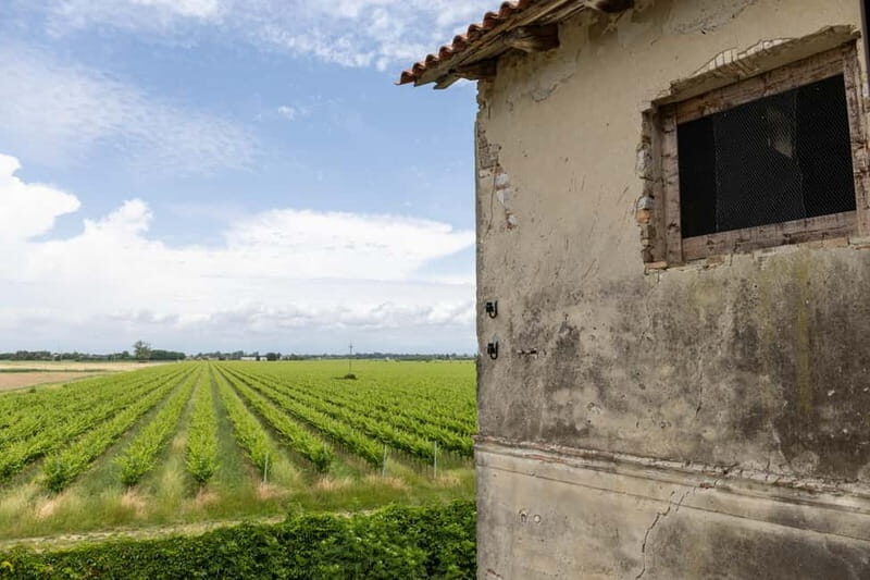 Grado: Journey into Ceramics with Tour & Wine Tasting - Grado: Journey into Ceramics with Tour & Wine Tasting — A Friendly Guide