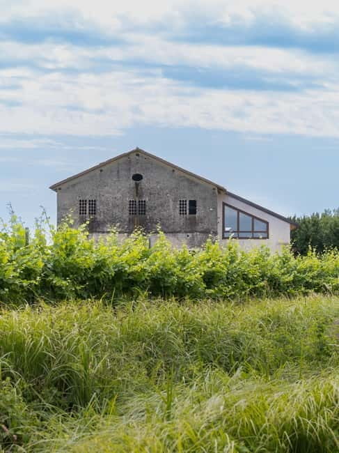 Grado: Journey into Ceramics with Tour & Wine Tasting - The Bottom Line