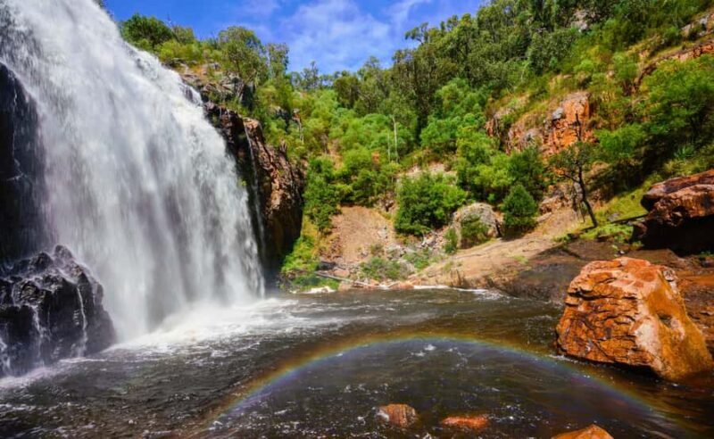 Grampians National Park Small-Group Eco Day Tour - The Itinerary: What to Expect on Your Day in the Grampians