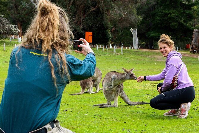 Grampians National Park Small-Group Eco Tour from Melbourne - The Sum Up