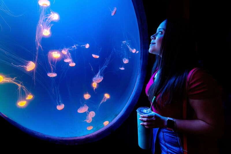 Gran Acuario Mazatlan - FAQs