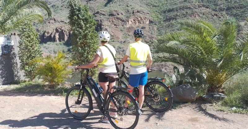Gran Canaria: 8 Hour - 7 Day E-Bike Rental 80km battery life - Family Considerations and Safety