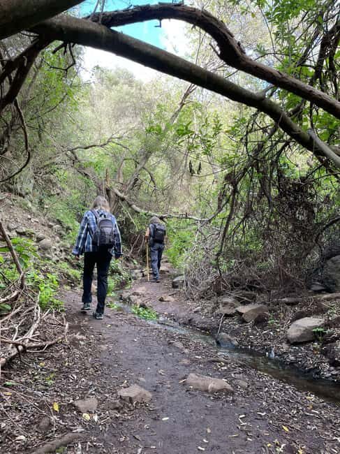 Gran Canaria: a trip to the Barranco de los Cernícalos - Exploring the Natural Charm of Gran Canaria: A Detailed Look at the Barranco de los Cernícalos Tour
